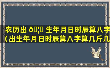 农历出 🦋 生年月日时辰算八字（出生年月日时辰算八字算几斤几两）